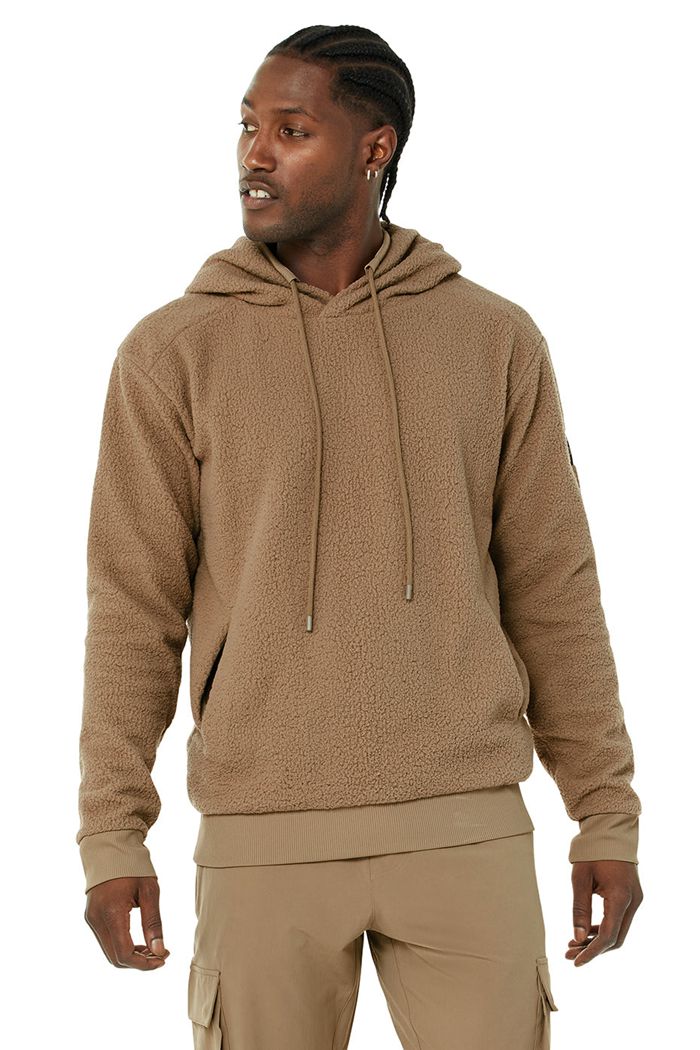 Alo Yoga Sherpa Hoodie Herr Bruna | 6470513-DE