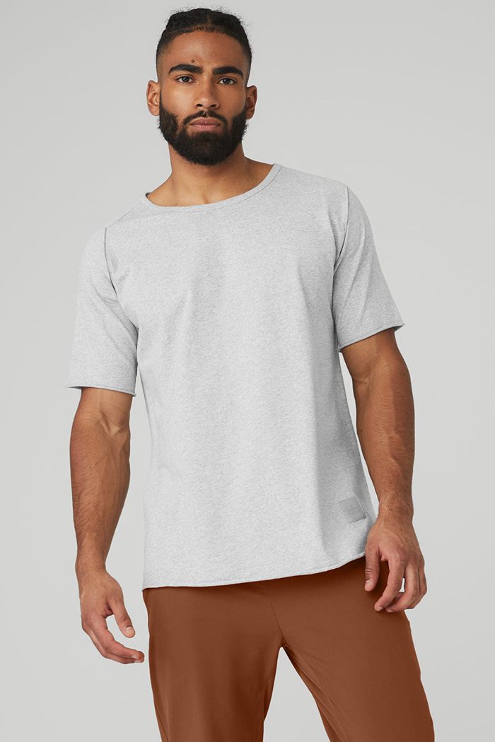 Alo Yoga Society Crewneck Tee Short Sleeve Herr Grå | 2645870-YQ