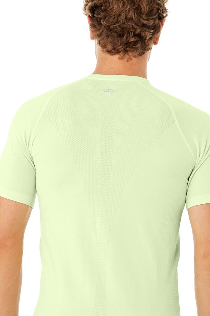 Alo Yoga Amplify Seamless Tee Short Sleeve Herr Gröna | 2074138-LO