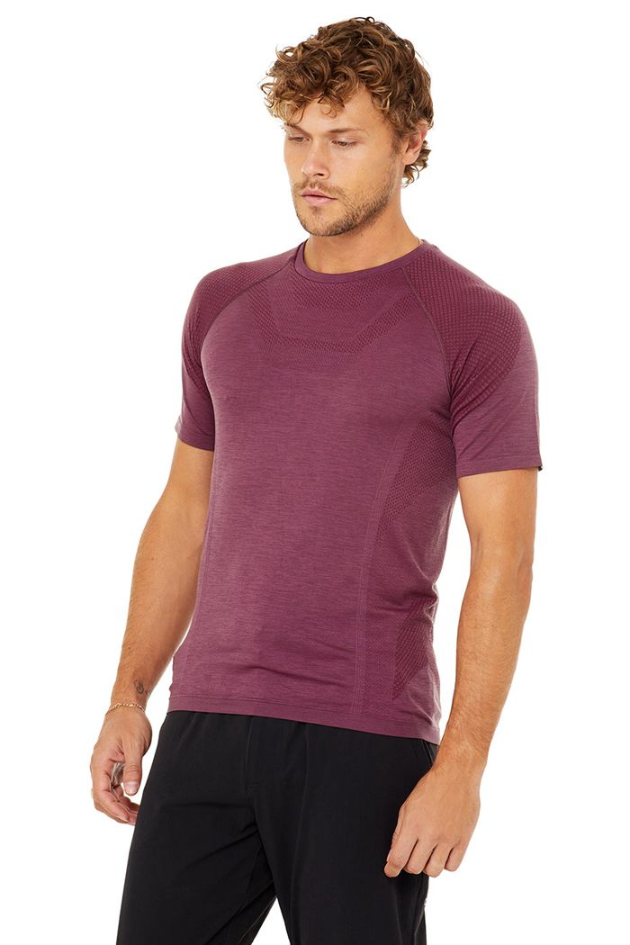 Alo Yoga Amplify Seamless Tee Short Sleeve Herr Röda | 2786041-WI