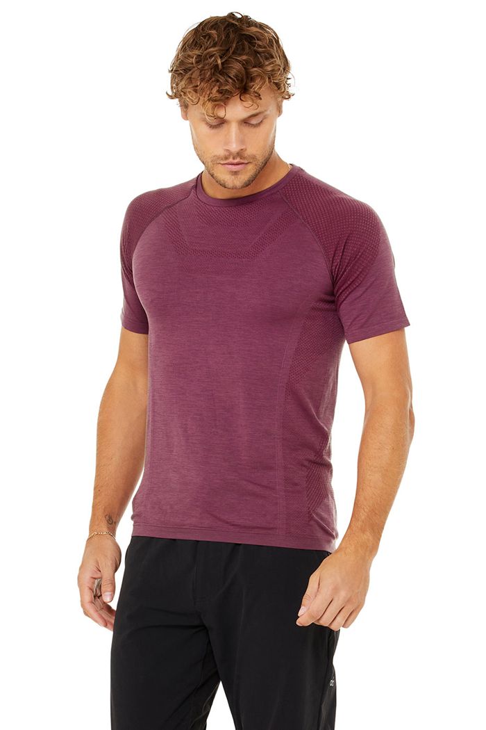 Alo Yoga Amplify Seamless Tee Short Sleeve Herr Röda | 2786041-WI