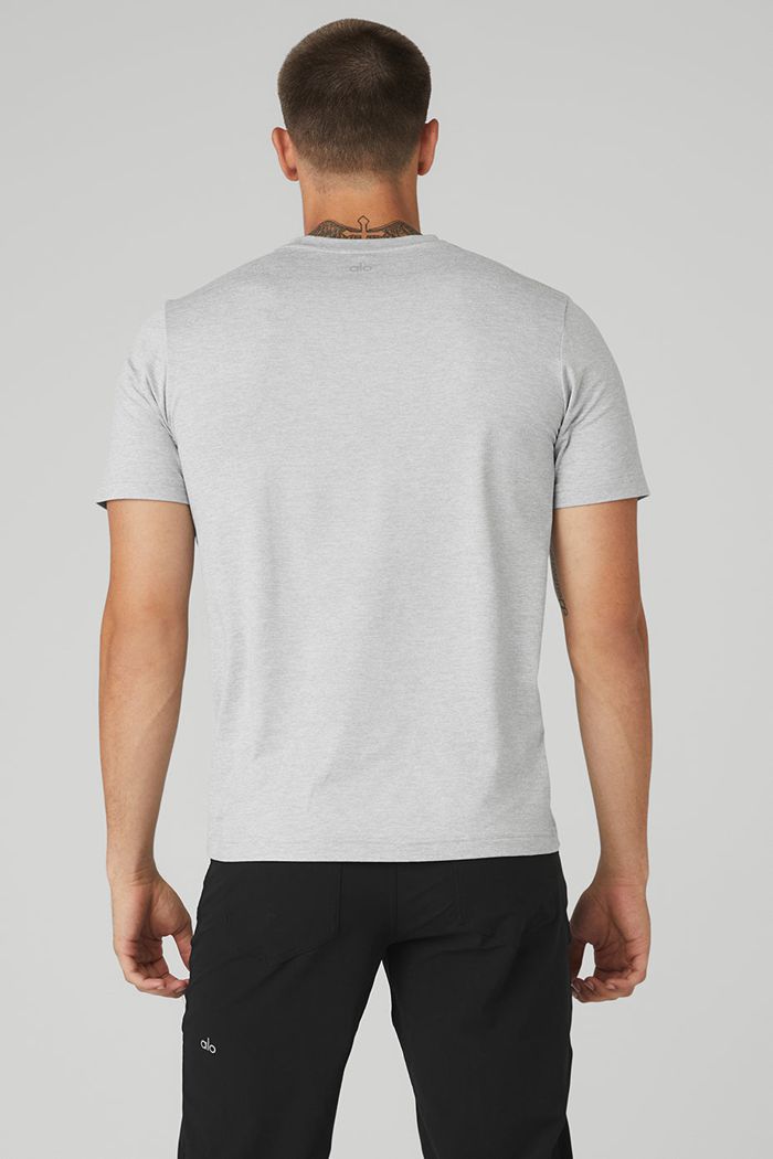 Alo Yoga Conquer Reform Crewneck Short Sleeve Herr Grå | 9631704-LE