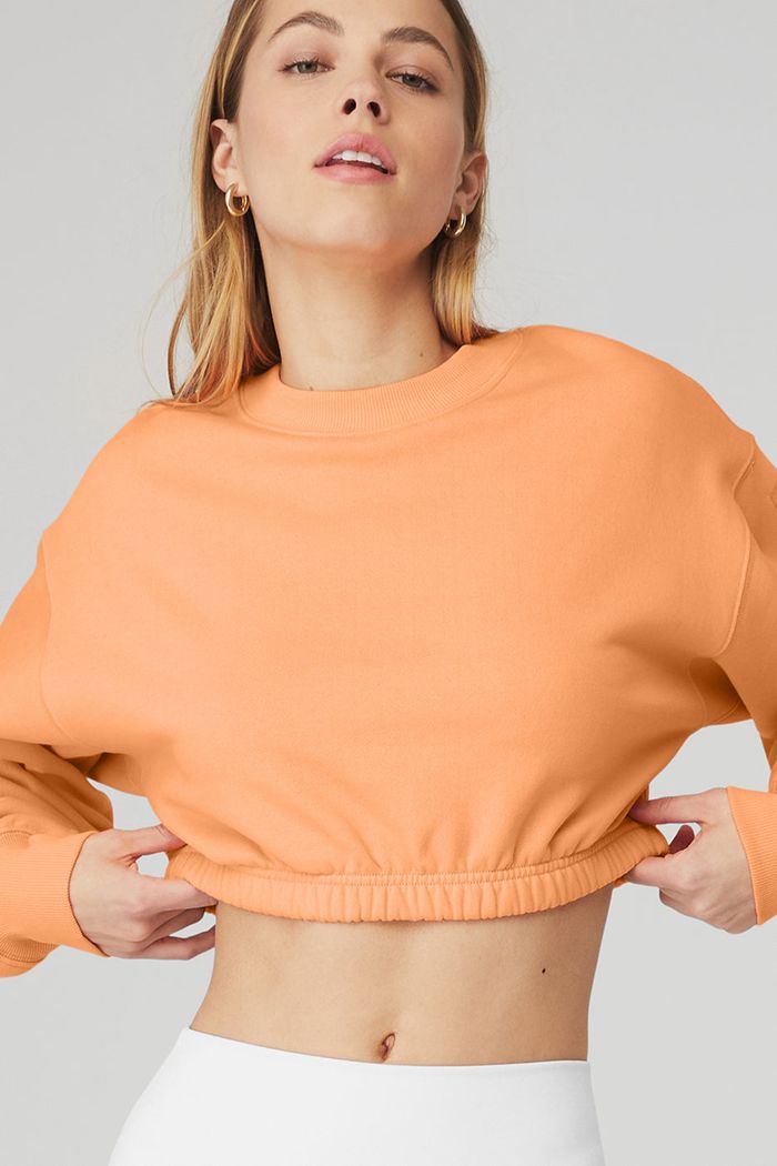 Alo Yoga Devotion Crew Neck Sweatshirt Dam Orange | 9254360-PV