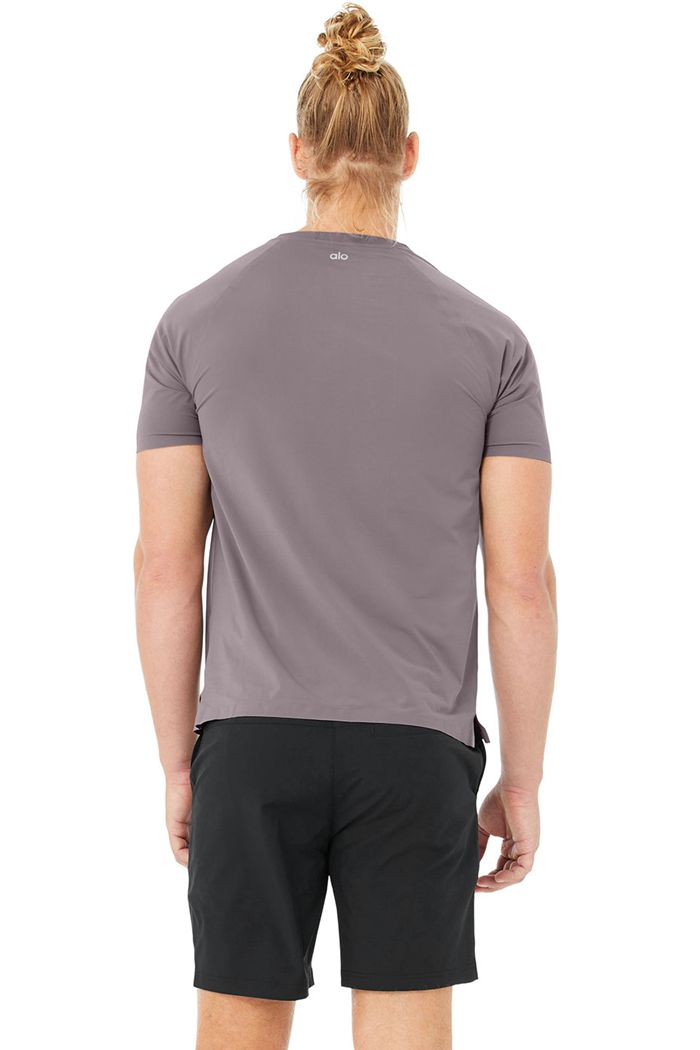 Alo Yoga Idol Performance Tee Short Sleeve Herr Lila | 4672530-FU