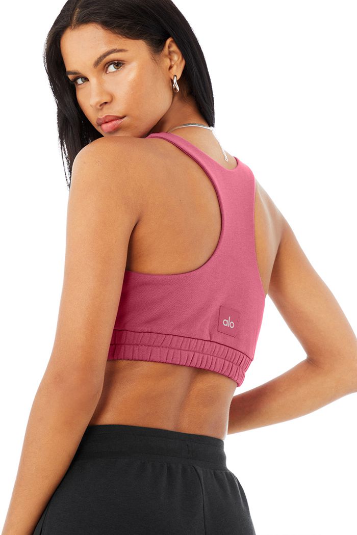 Alo Yoga Scoop Neck Sweatshirt BH Dam Lila | 6287403-OW