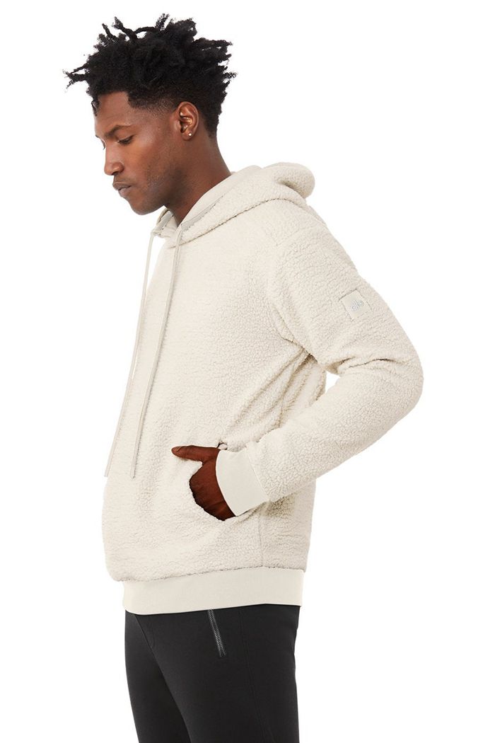 Alo Yoga Sherpa Hoodie Herr Beige | 3729056-MU