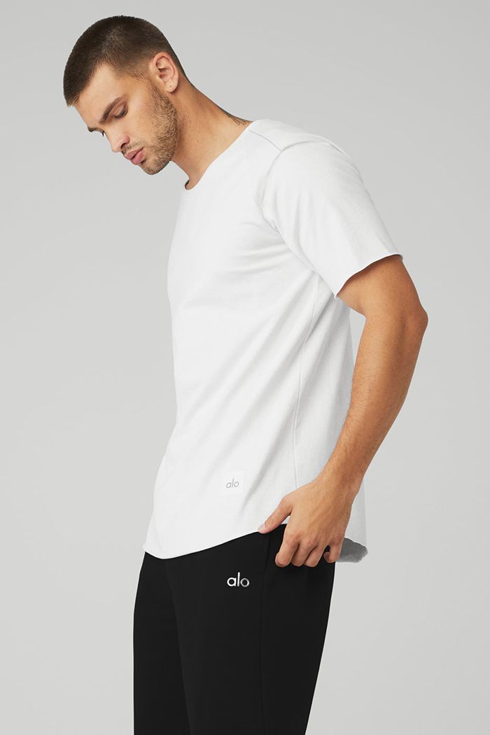 Alo Yoga Society Crewneck Tee Short Sleeve Herr Vita | 1087534-AT