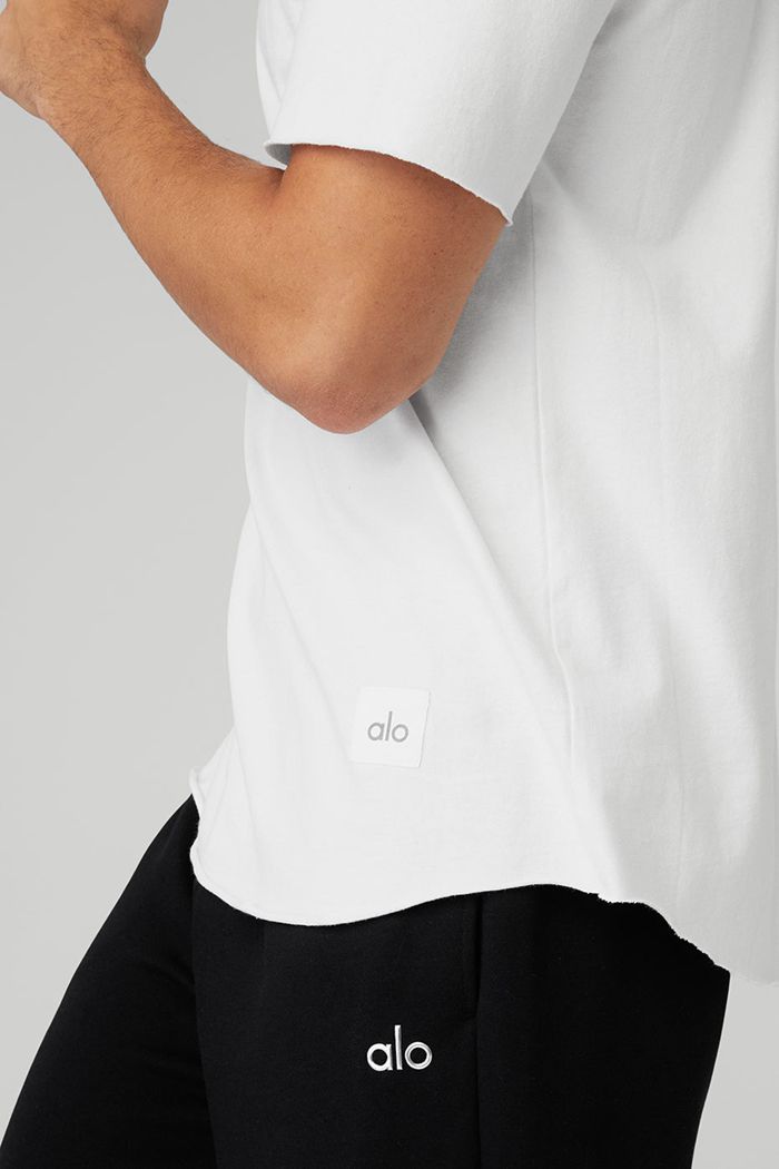 Alo Yoga Society Crewneck Tee Short Sleeve Herr Vita | 1087534-AT