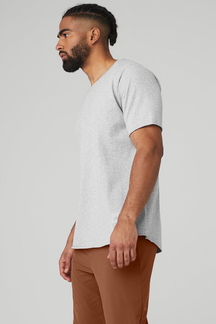 Alo Yoga Society Crewneck Tee Short Sleeve Herr Grå | 2645870-YQ