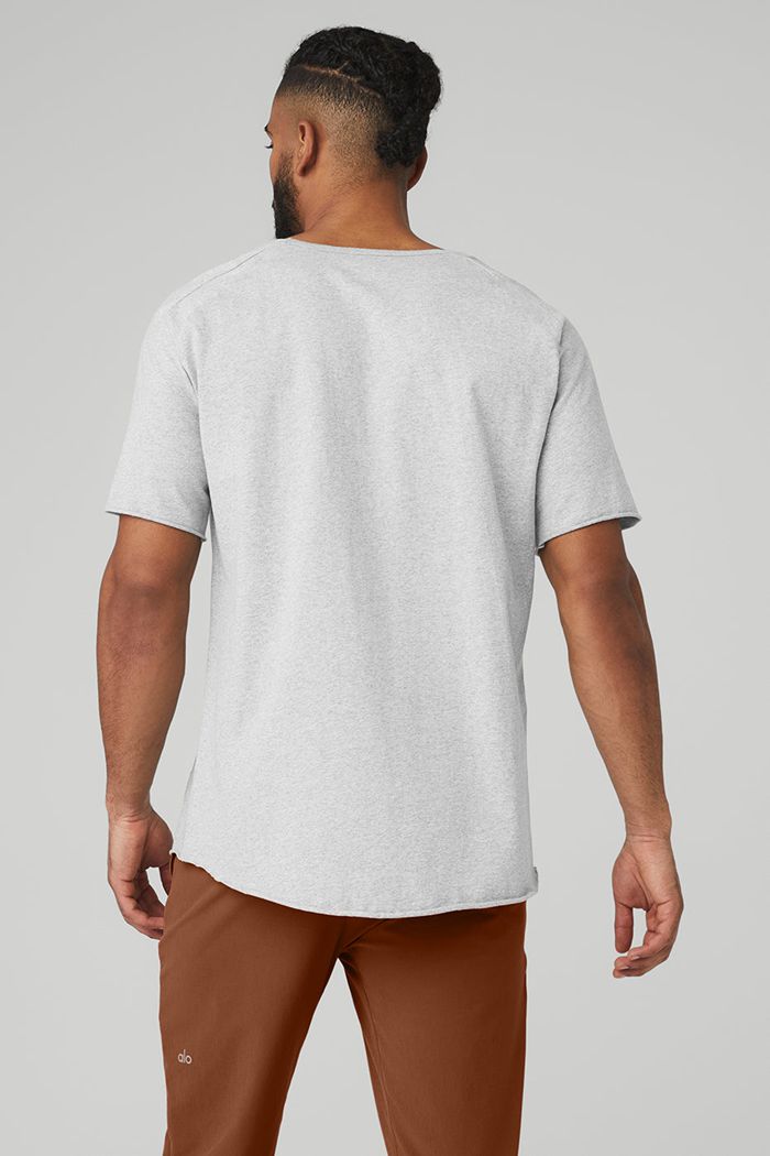 Alo Yoga Society Crewneck Tee Short Sleeve Herr Grå | 2645870-YQ