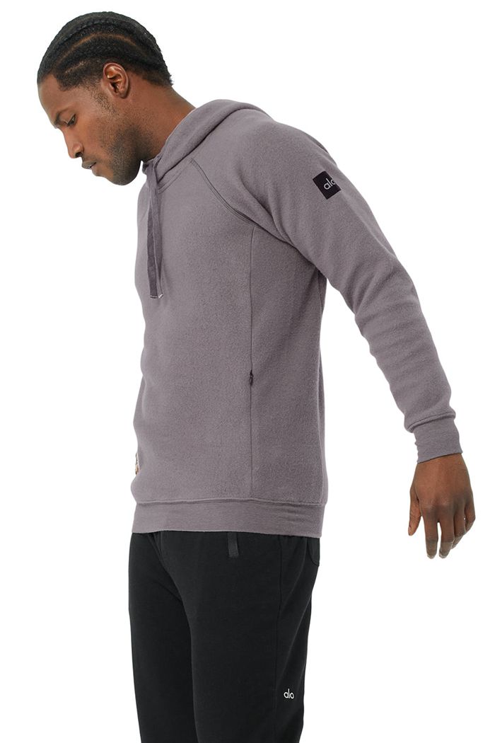 Alo Yoga The Triumph Hoodie Herr Lila | 8036472-FY