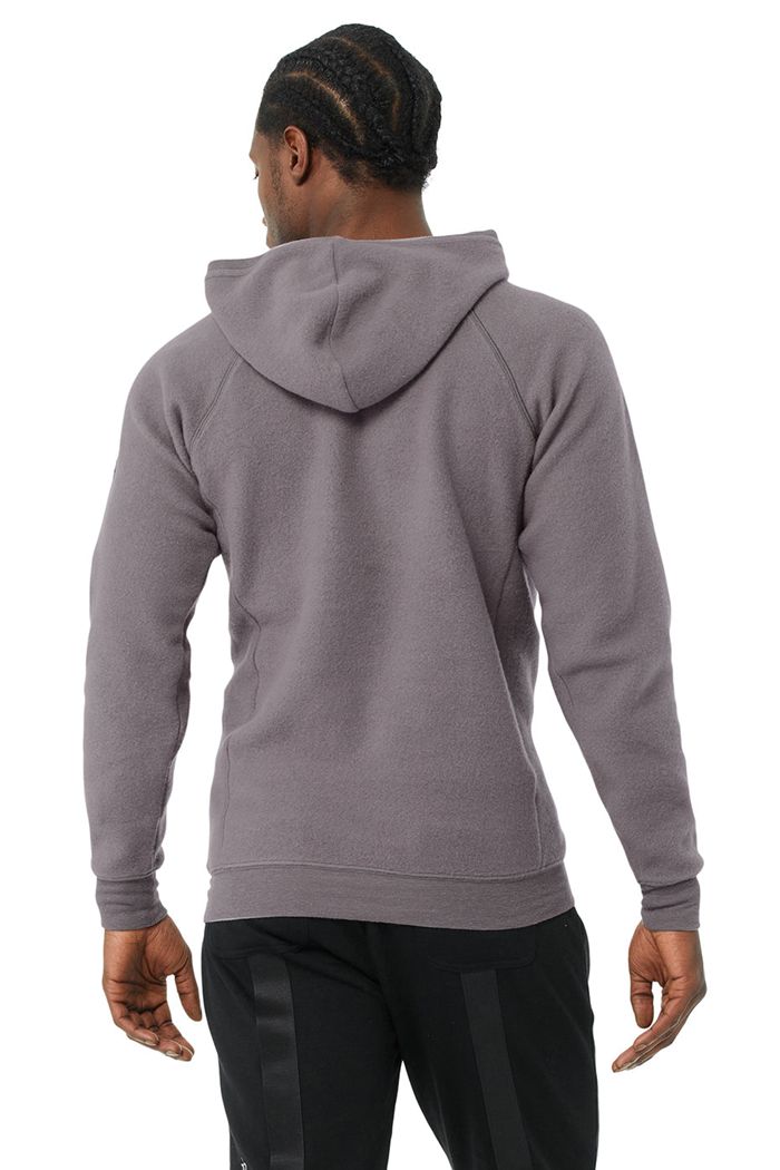 Alo Yoga The Triumph Hoodie Herr Lila | 8036472-FY