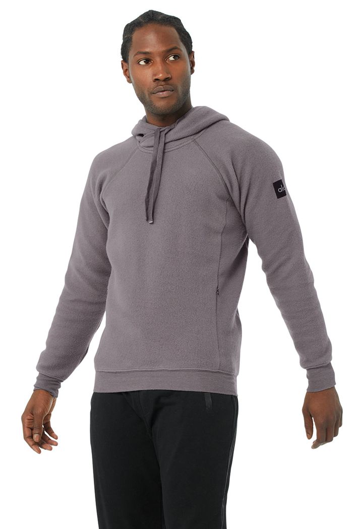 Alo Yoga The Triumph Hoodie Herr Lila | 8036472-FY