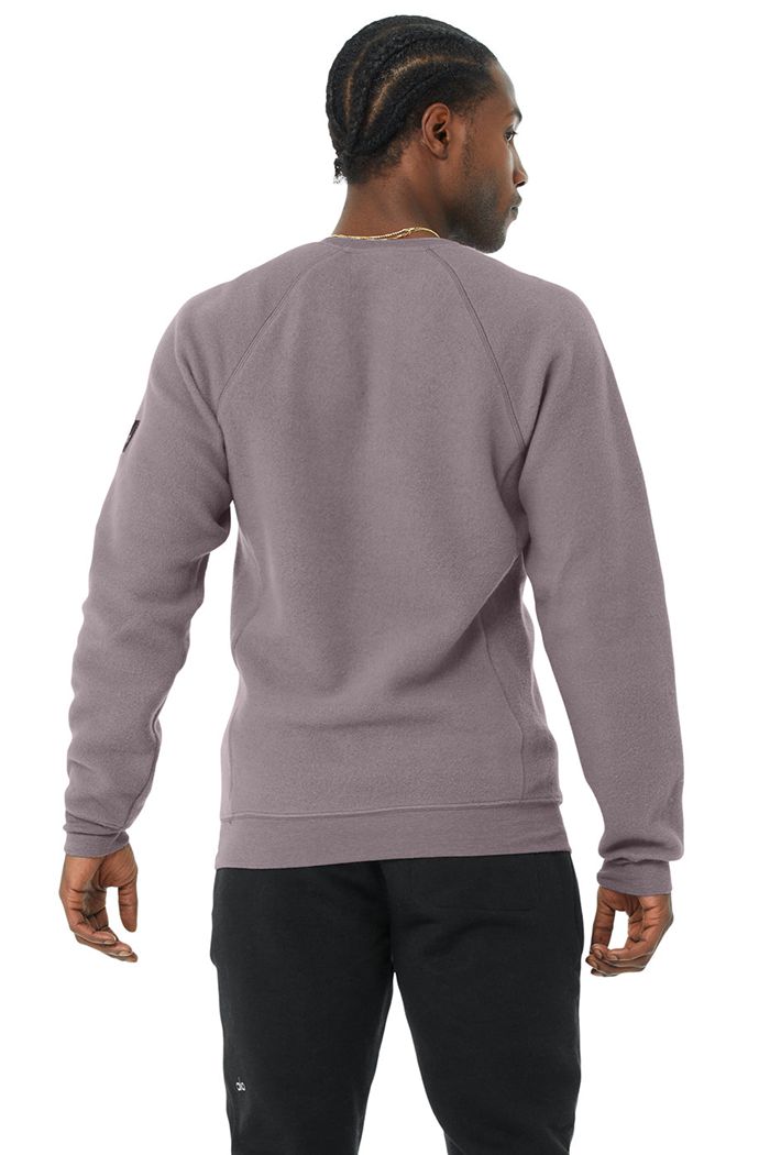 Alo Yoga Triumph Crew Neck Sweatshirt Long Sleeve Herr Lila | 2056941-TG